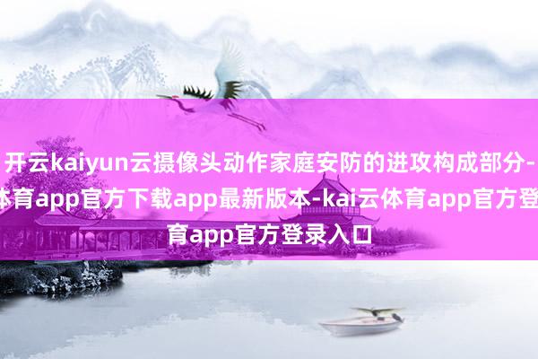 开云kaiyun云摄像头动作家庭安防的进攻构成部分-kai云体育app官方下载app最新版本-kai云体育app官方登录入口