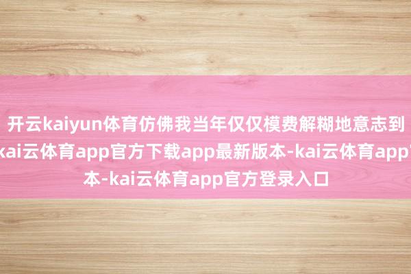 开云kaiyun体育仿佛我当年仅仅模费解糊地意志到的那些问题-kai云体育app官方下载app最新版本-kai云体育app官方登录入口