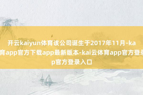 开云kaiyun体育该公司诞生于2017年11月-kai云体育app官方下载app最新版本-kai云体育app官方登录入口