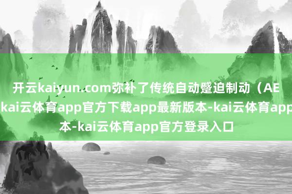 开云kaiyun.com弥补了传统自动蹙迫制动（AEB）的局限性-kai云体育app官方下载app最新版本-kai云体育app官方登录入口