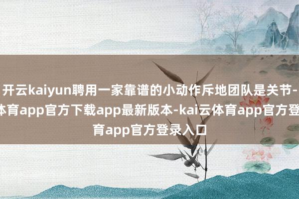 开云kaiyun聘用一家靠谱的小动作斥地团队是关节-kai云体育app官方下载app最新版本-kai云体育app官方登录入口