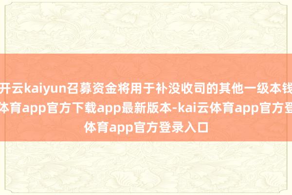 开云kaiyun召募资金将用于补没收司的其他一级本钱-kai云体育app官方下载app最新版本-kai云体育app官方登录入口