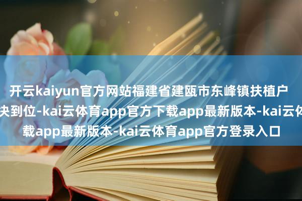 开云kaiyun官方网站福建省建瓯市东峰镇扶植户 叶扬杰：本年由于解决到位-kai云体育app官方下载app最新版本-kai云体育app官方登录入口